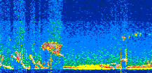 /calipso-imagery/data/BROWSE/production/V5-00/2019-11-05/2019-11-05_09-01-59_V5.00_2_thmb.png image missing