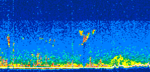 /calipso-imagery/data/BROWSE/production/V5-00/2019-11-05/2019-11-05_09-01-59_V5.00_3_thmb.png image missing