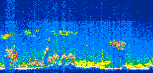 /calipso-imagery/data/BROWSE/production/V5-00/2019-11-05/2019-11-05_10-40-29_V5.00_3_thmb.png image missing