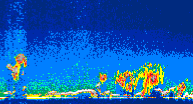 /calipso-imagery/data/BROWSE/production/V5-00/2019-11-05/2019-11-05_15-36-05_V5.00_4_thmb.png image missing