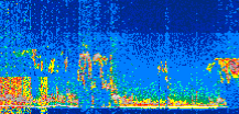/calipso-imagery/data/BROWSE/production/V5-00/2019-11-05/2019-11-05_17-14-35_V5.00_3_thmb.png image missing