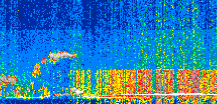 /calipso-imagery/data/BROWSE/production/V5-00/2019-11-05/2019-11-05_18-53-05_V5.00_2_thmb.png image missing