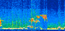 /calipso-imagery/data/BROWSE/production/V5-00/2019-11-05/2019-11-05_22-10-10_V5.00_2_thmb.png image missing