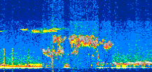 /calipso-imagery/data/BROWSE/production/V5-00/2019-11-05/2019-11-05_23-48-41_V5.00_3_thmb.png image missing