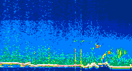 /calipso-imagery/data/BROWSE/production/V5-00/2019-11-05/2019-11-05_23-48-41_V5.00_4_thmb.png image missing
