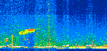 /calipso-imagery/data/BROWSE/production/V5-00/2019-11-10/2019-11-10_00-41-34_V5.00_2_thmb.png image missing