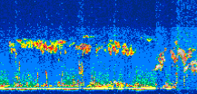 /calipso-imagery/data/BROWSE/production/V5-00/2019-11-10/2019-11-10_02-20-09_V5.00_3_thmb.png image missing