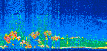 /calipso-imagery/data/BROWSE/production/V5-00/2019-11-10/2019-11-10_05-37-09_V5.00_2_thmb.png image missing