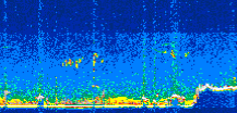 /calipso-imagery/data/BROWSE/production/V5-00/2019-11-10/2019-11-10_07-15-39_V5.00_3_thmb.png image missing