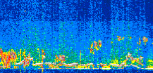 /calipso-imagery/data/BROWSE/production/V5-00/2019-11-10/2019-11-10_10-32-45_V5.00_2_thmb.png image missing