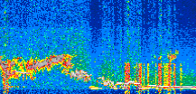 /calipso-imagery/data/BROWSE/production/V5-00/2019-11-10/2019-11-10_13-49-45_V5.00_2_thmb.png image missing