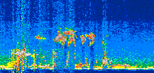 /calipso-imagery/data/BROWSE/production/V5-00/2019-11-10/2019-11-10_18-45-21_V5.00_3_thmb.png image missing