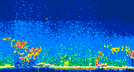 /calipso-imagery/data/BROWSE/production/V5-00/2019-11-10/2019-11-10_18-45-21_V5.00_4_thmb.png image missing