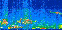 /calipso-imagery/data/BROWSE/production/V5-00/2019-11-11/2019-11-11_04-36-27_V5.00_2_thmb.png image missing