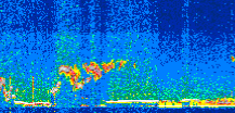 /calipso-imagery/data/BROWSE/production/V5-00/2019-11-11/2019-11-11_07-53-33_V5.00_2_thmb.png image missing