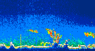 /calipso-imagery/data/BROWSE/production/V5-00/2019-11-11/2019-11-11_09-32-03_V5.00_4_thmb.png image missing