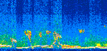 /calipso-imagery/data/BROWSE/production/V5-00/2019-11-11/2019-11-11_12-49-08_V5.00_2_thmb.png image missing