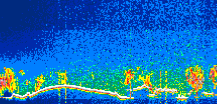 /calipso-imagery/data/BROWSE/production/V5-00/2019-11-11/2019-11-11_19-23-14_V5.00_1_thmb.png image missing