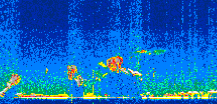 /calipso-imagery/data/BROWSE/production/V5-00/2019-11-11/2019-11-11_21-01-45_V5.00_2_thmb.png image missing