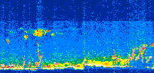 /calipso-imagery/data/BROWSE/production/V5-00/2019-11-12/2019-11-12_10-09-56_V5.00_3_thmb.png image missing