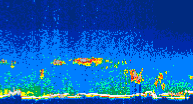 /calipso-imagery/data/BROWSE/production/V5-00/2019-11-12/2019-11-12_10-09-56_V5.00_4_thmb.png image missing