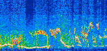 /calipso-imagery/data/BROWSE/production/V5-00/2019-11-12/2019-11-12_11-48-26_V5.00_2_thmb.png image missing