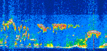 /calipso-imagery/data/BROWSE/production/V5-00/2019-11-12/2019-11-12_11-48-26_V5.00_3_thmb.png image missing