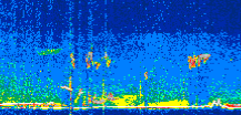 /calipso-imagery/data/BROWSE/production/V5-00/2019-11-12/2019-11-12_13-26-57_V5.00_3_thmb.png image missing