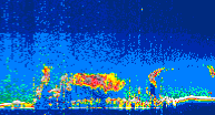 /calipso-imagery/data/BROWSE/production/V5-00/2019-11-12/2019-11-12_13-26-57_V5.00_4_thmb.png image missing