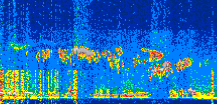 /calipso-imagery/data/BROWSE/production/V5-00/2019-11-12/2019-11-12_15-05-27_V5.00_3_thmb.png image missing