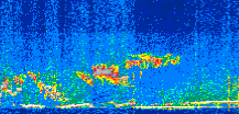 /calipso-imagery/data/BROWSE/production/V5-00/2019-11-12/2019-11-12_20-01-03_V5.00_2_thmb.png image missing