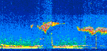 /calipso-imagery/data/BROWSE/production/V5-00/2019-11-12/2019-11-12_21-39-33_V5.00_3_thmb.png image missing