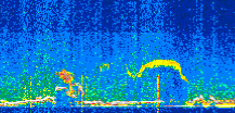 /calipso-imagery/data/BROWSE/production/V5-00/2019-11-12/2019-11-12_23-18-08_V5.00_2_thmb.png image missing