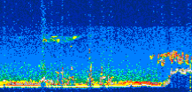 /calipso-imagery/data/BROWSE/production/V5-00/2019-11-13/2019-11-13_07-30-44_V5.00_3_thmb.png image missing