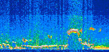 /calipso-imagery/data/BROWSE/production/V5-00/2019-11-13/2019-11-13_09-09-14_V5.00_2_thmb.png image missing