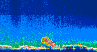 /calipso-imagery/data/BROWSE/production/V5-00/2019-11-13/2019-11-13_17-21-50_V5.00_4_thmb.png image missing