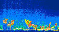 /calipso-imagery/data/BROWSE/production/V5-00/2019-11-13/2019-11-13_19-00-26_V5.00_4_thmb.png image missing