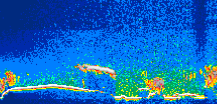 /calipso-imagery/data/BROWSE/production/V5-00/2019-11-13/2019-11-13_20-38-56_V5.00_1_thmb.png image missing