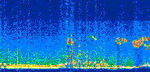 /calipso-imagery/data/BROWSE/production/V5-00/2019-11-13/2019-11-13_20-38-56_V5.00_3_thmb.png image missing