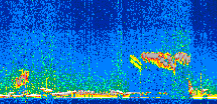 /calipso-imagery/data/BROWSE/production/V5-00/2019-11-13/2019-11-13_22-17-26_V5.00_2_thmb.png image missing