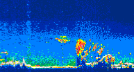 /calipso-imagery/data/BROWSE/production/V5-00/2019-11-14/2019-11-14_09-47-08_V5.00_4_thmb.png image missing