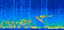 /calipso-imagery/data/BROWSE/production/V5-00/2019-11-14/2019-11-14_21-16-49_V5.00_2_thmb.png image missing