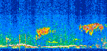 /calipso-imagery/data/BROWSE/production/V5-00/2019-11-14/2019-11-14_22-55-19_V5.00_2_thmb.png image missing