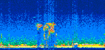 /calipso-imagery/data/BROWSE/production/V5-00/2019-11-17/2019-11-17_00-11-01_V5.00_3_thmb.png image missing