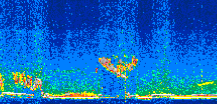 /calipso-imagery/data/BROWSE/production/V5-00/2019-11-17/2019-11-17_06-45-07_V5.00_2_thmb.png image missing
