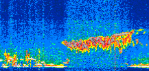 /calipso-imagery/data/BROWSE/production/V5-00/2019-11-17/2019-11-17_10-02-12_V5.00_2_thmb.png image missing