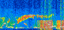 /calipso-imagery/data/BROWSE/production/V5-00/2019-11-17/2019-11-17_14-57-48_V5.00_2_thmb.png image missing