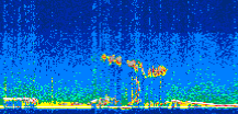 /calipso-imagery/data/BROWSE/production/V5-00/2019-11-17/2019-11-17_21-31-54_V5.00_3_thmb.png image missing