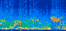 /calipso-imagery/data/BROWSE/production/V5-00/2019-11-17/2019-11-17_23-10-24_V5.00_2_thmb.png image missing