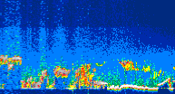 /calipso-imagery/data/BROWSE/production/V5-00/2019-11-21/2019-11-21_01-03-59_V5.00_4_thmb.png image missing